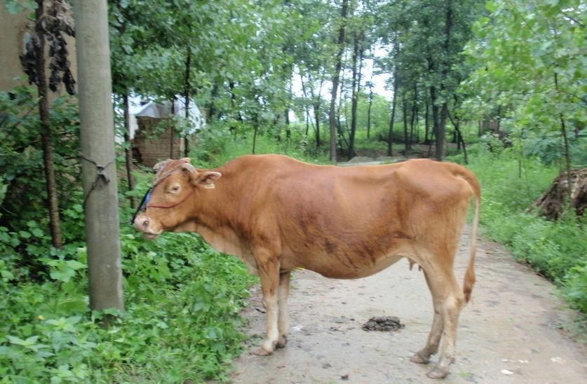 详细阅读:临沧最新求一个套医保卡的黄牛是真的吗方法分析(最方便真实的临沧求一个套医保卡的黄牛是真的吗还是假的方法) 临沧最新求一个套医保卡的黄牛是真的吗方法分析(最方便真实的临沧求一个套医保卡的黄牛是真的吗还是假的方法)